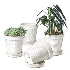 LE TAUCI Ceramic Plant Pots, 6 Inch Flower Pot with Drainage Hole & Saucer, E...