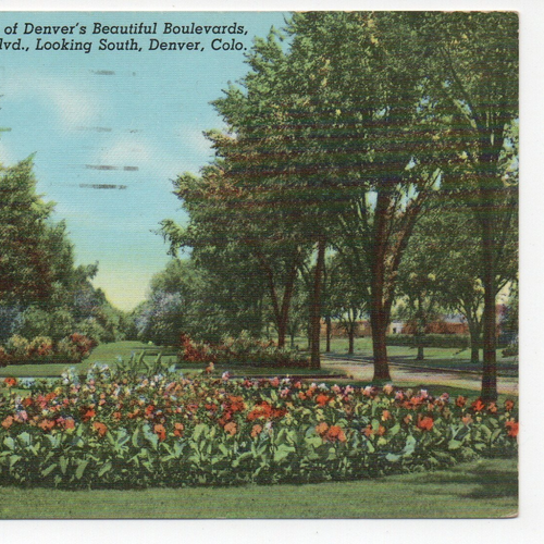 Monaco Blvd Looking South Denver CO Flowers Garden Linen Postcard Posted 1942 - Picture 5 of 11