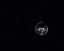 LUNAR MODULE APOLLO 10 COMMAND MODULE PHOTOGRAPH PHOTO PRINT