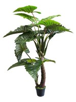 artplants Deko Pflanze Colocasia Fenyue, GrüN, 220Cm