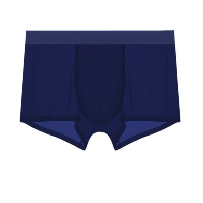 Ice Silk Seamless Boxer Briefs Mens/Men Pouch Underwear Shorts Trunks Underpant