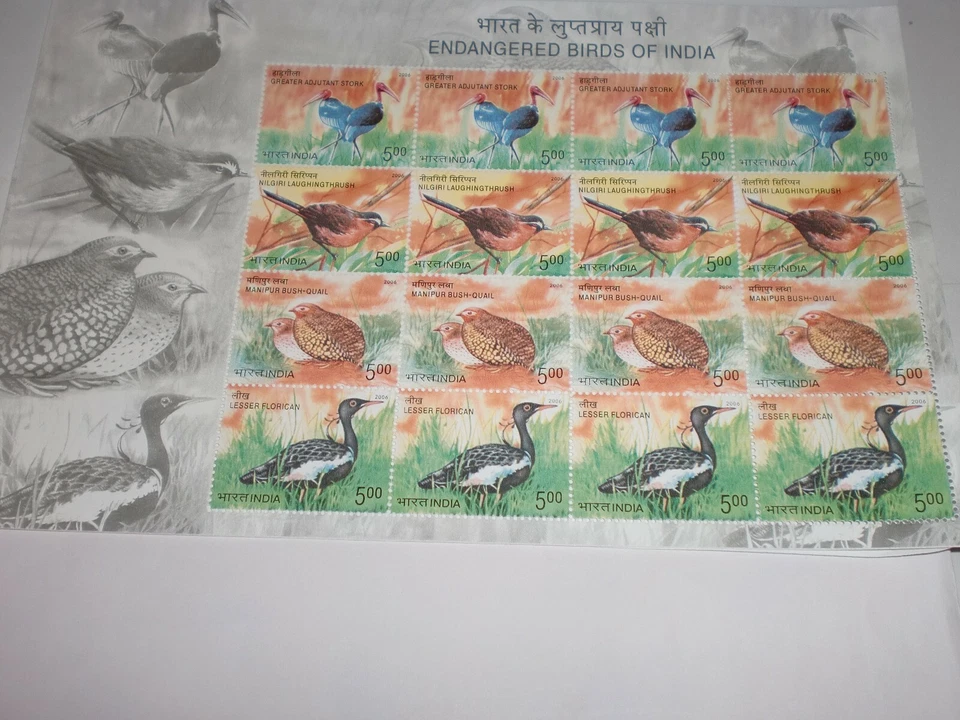 SELLOS DE LA INDIA - HOJA COMPLETA - 16 SELLOS DE GOMA - "AVES EN PELIGRO DE EXTINCIÓN DE LA INDIA" - 2006 Foto 2 de 4