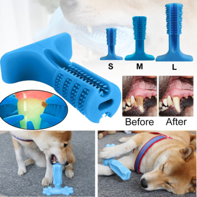 Toothpaste Bristly Brushing Stick For Dogs Dog Toothbrush Toy