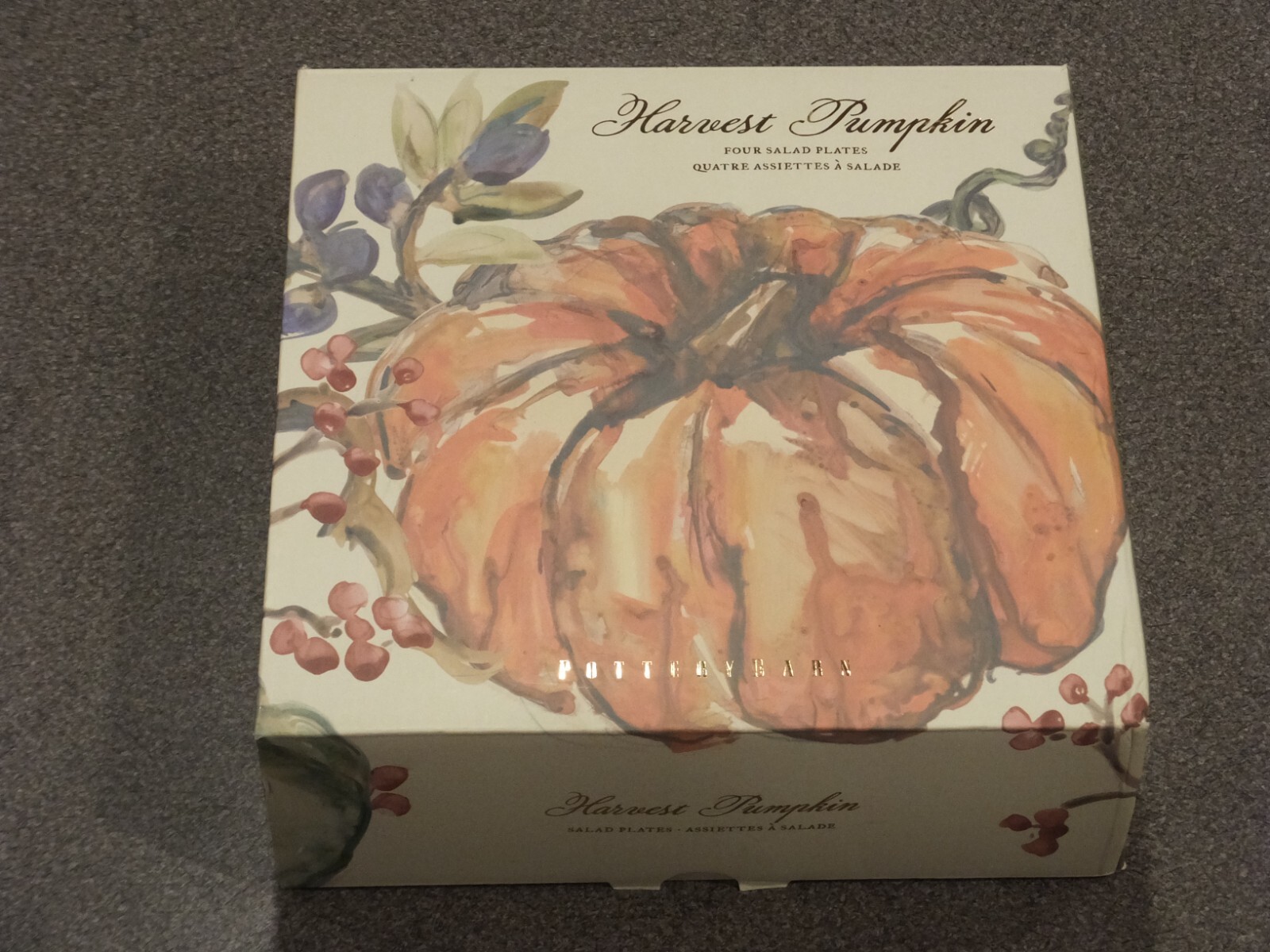 NEW Pottery Barn Harvest Pumpkin Watercolor Salad Plates Set of 4 FALL