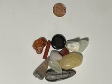 Tumbled Crystal Mineral Specimen Assorted Lot with Orthoceras Fossil Display