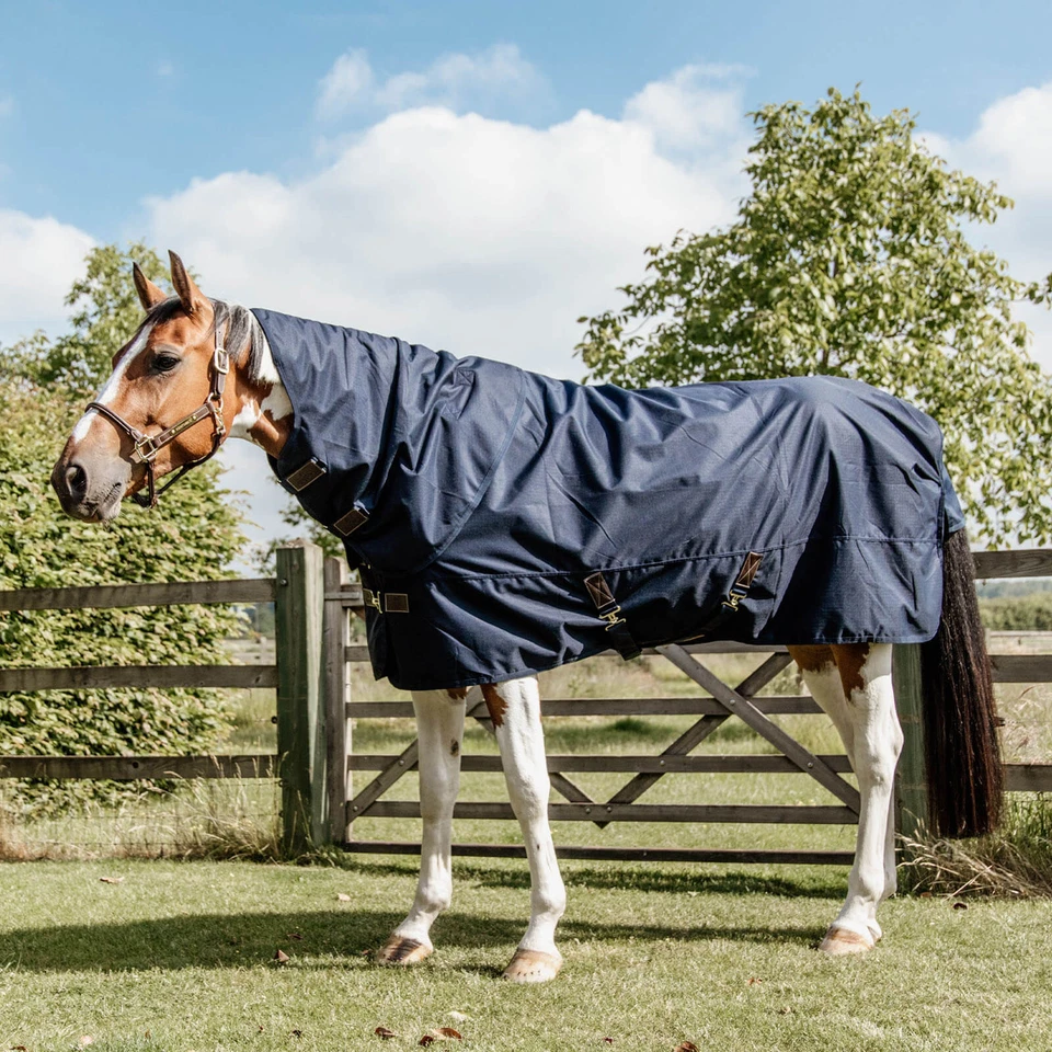 Kentucky Horsewear 145 Marine Outdoordecke 150g mit Halsteil All Weather - Bild 2 von 4