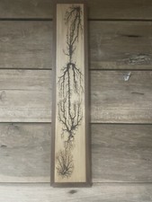 fractal wood burning Art