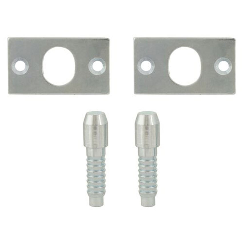TSS Security Hinge Bolts Pair Zinc (TSSHINBOLTS)