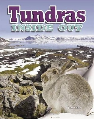 James Bow Tundras (Taschenbuch) Ecosystems Inside Out