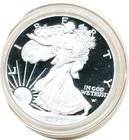 US 2022 W   American Eagle Proof silver Dollar    ..........C 10015