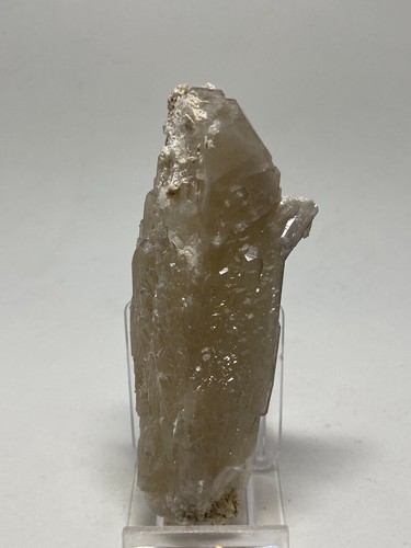 CELESTINA Celestine - Armenta, Orihuela, Alicante SPAIN MINERAL 11x4x3 K31 - Imagen 2 de 7
