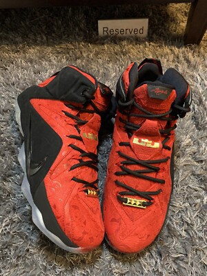 NIKE LEBRON XII EXT KINGS CLOAK RED PAISLEY 748861-600 Size 9 Mens