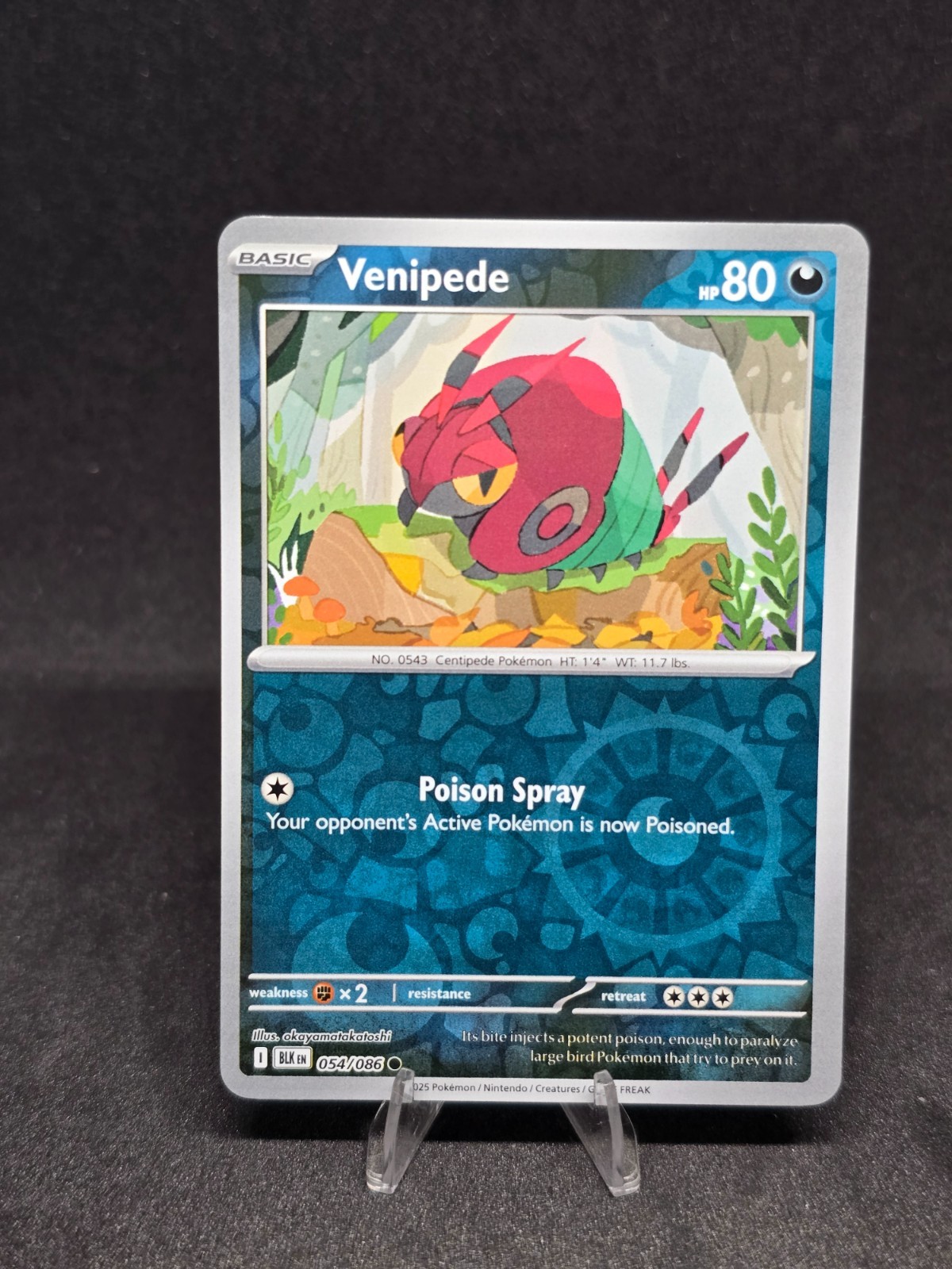 Pokémon TCG Venipede 054/086 Sv: Black Bolt Reverse Holo NM