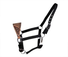 Showman Bronc Halter w/ Floral Tooled Noseband