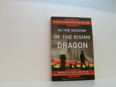 In the Shadow of the Rising Dragon: Stories of Repression in the New China Youyu