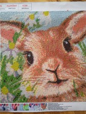 Diamond Art Painting Fully Finished
