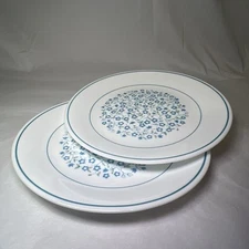 Set Of 2 Corelle by Corning Blue Heather 8 1/2" Salad Plates Flowers Dinner