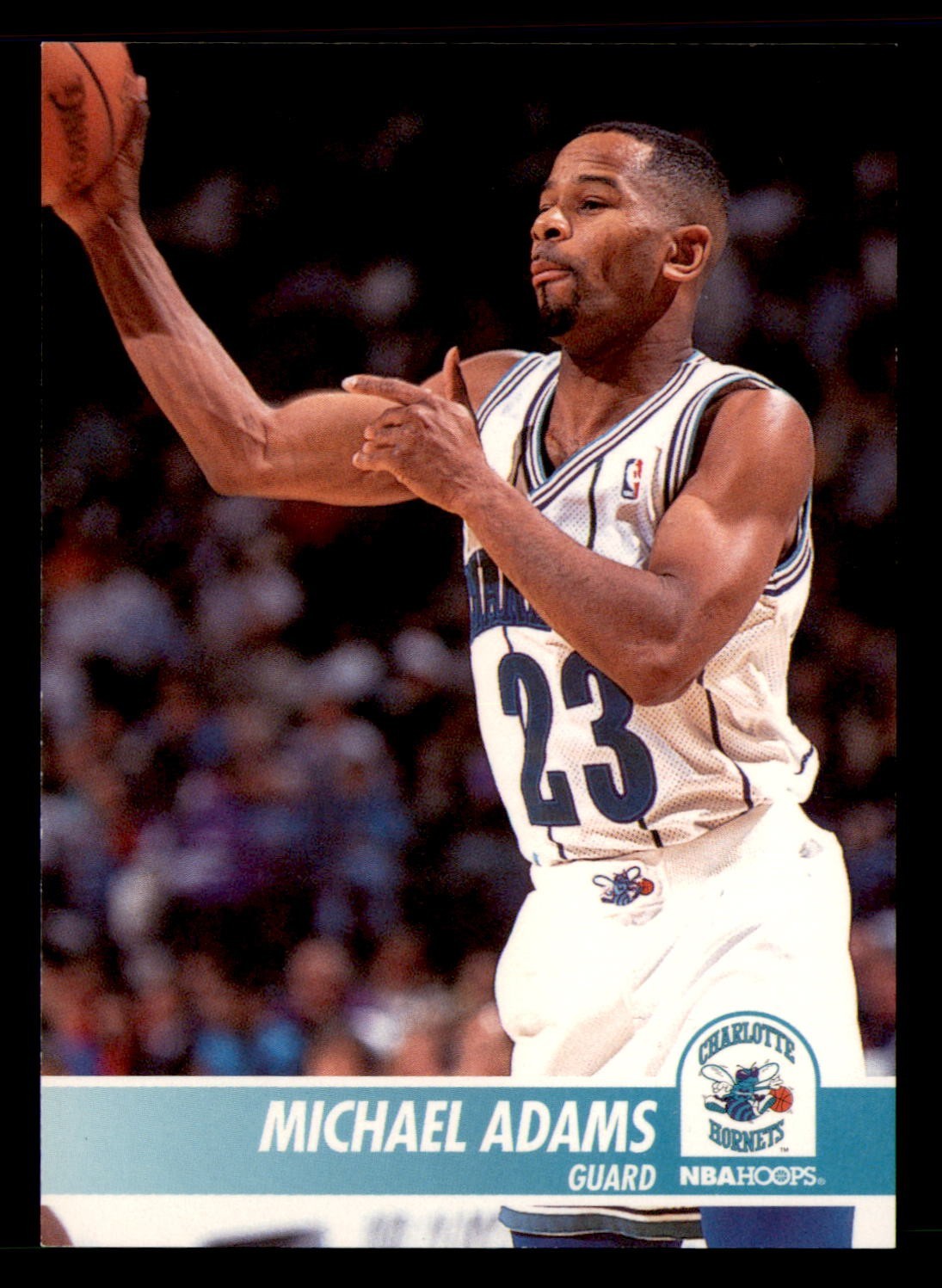 1994-95 NBA Hoops - Michael Adams #310