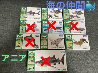 Friends of the Ania Sea, many 5-piece sets #4be4aa