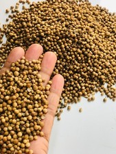 Coriander Seeds Whole Organic Dried Natural Herbal Ceylon Spices Premium Quality