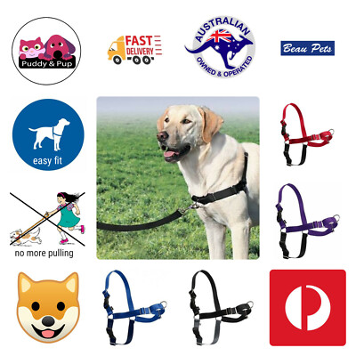 Gentle Leader Petco Easy Step In Harness Easy Walk Front Lead