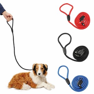 leash correction dog training