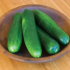 Burpless Beauty Cucumber: 10 Seeds