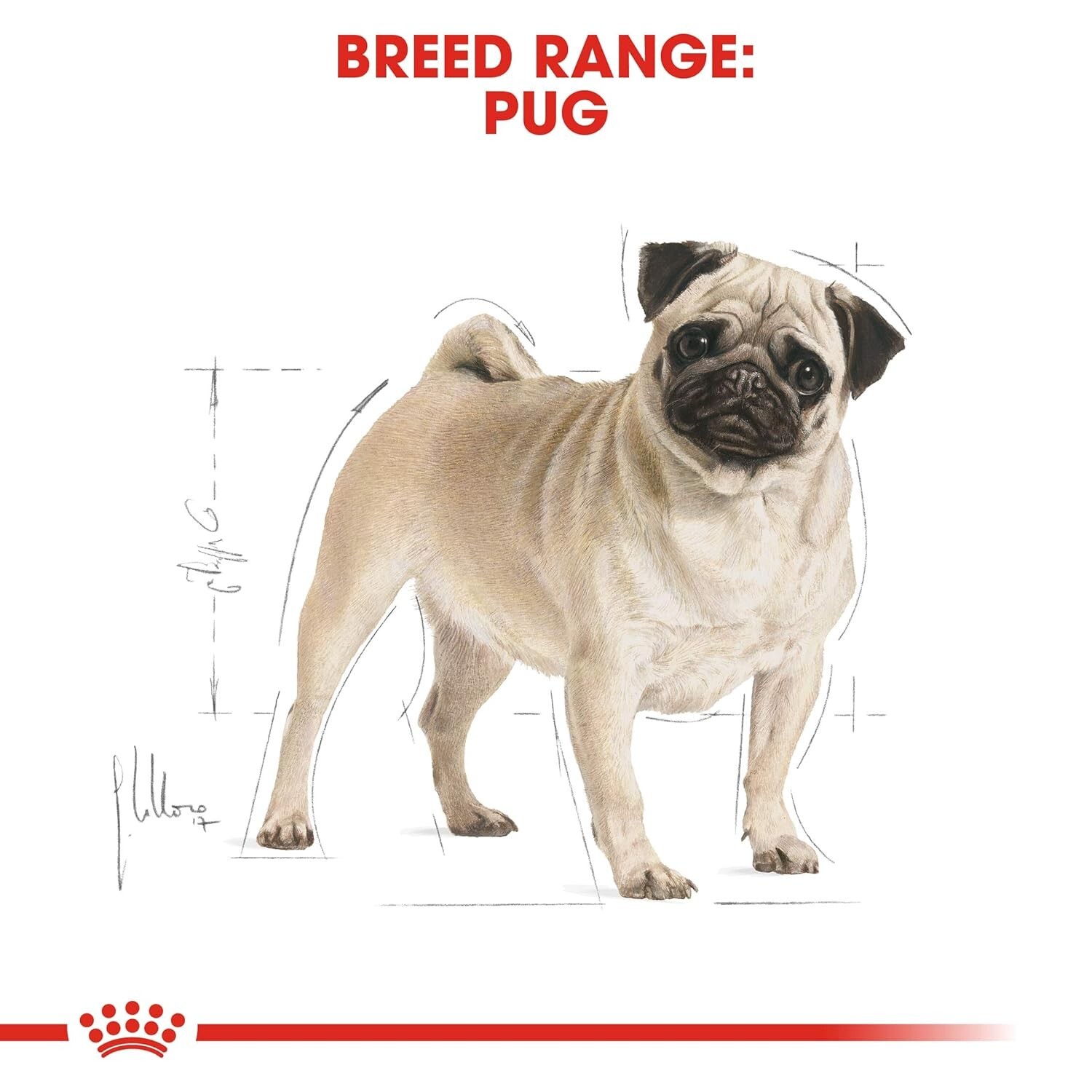 Pack of 3 Kg Royal Canin Adult Pug Breed Dry Dog Food Meat Flavour