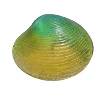 Glass Clam Seashell Paperweight Nautical Ocean Beach Decor Blue Green Yellow