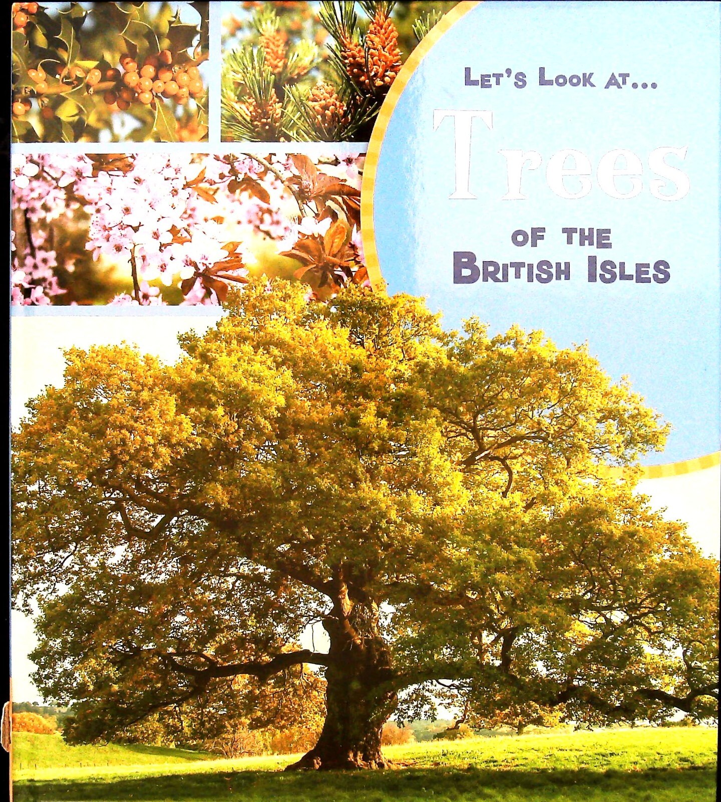 Trees of the British Isles Book Children's Facts Learning Key Stage 1 Science