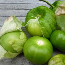 250 Grande Rio Verde Tomatillo Seeds Large Green Fruit Heirloom Non-gmo
