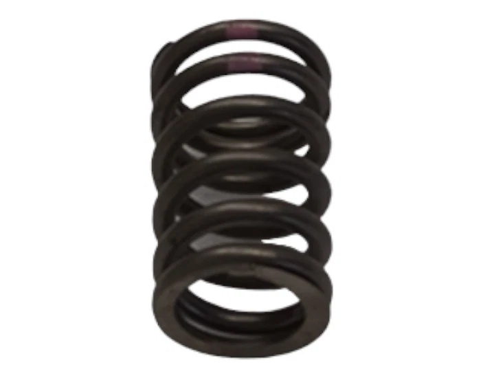 Pontiac Chevrolet Cavalier 1996-2002 Sunfire válvula de resorte 24574092 - nuevo OEM Foto 2 de 4