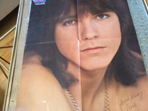 David Cassidy & Donny Osmond Poster Vintage 1970s Pull-Out From Magazine Est#51