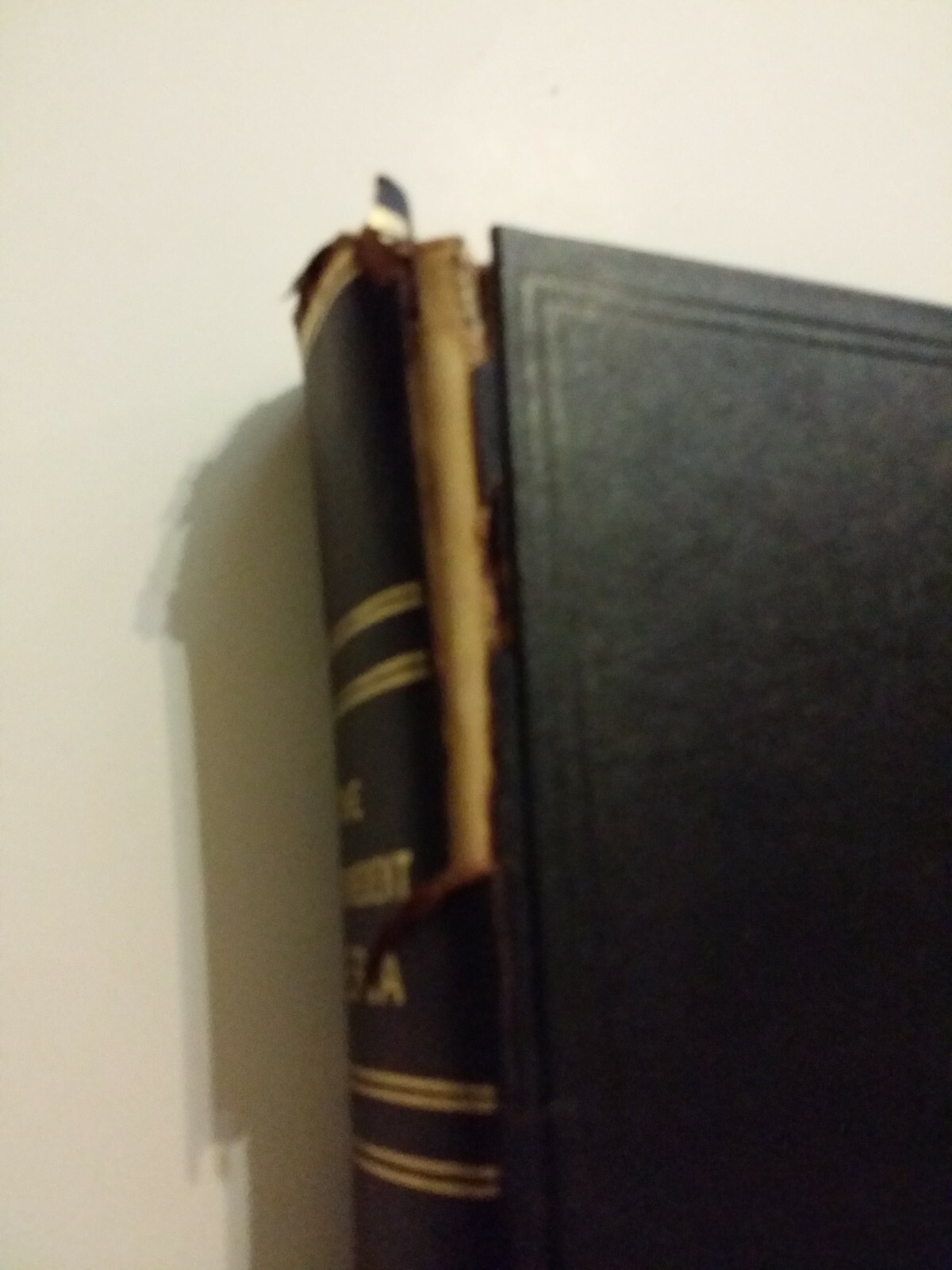 Picture 2 of 8