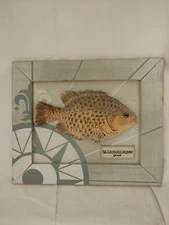 Grunt  3-D Wood Decor Picture 11.5x9.5" Distressed Finish