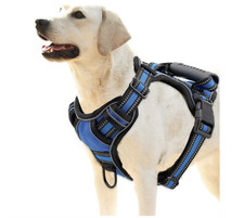 Pettorina Cane Imbracatura Collare Cani Guinzaglio con Manico anti-tiraggio