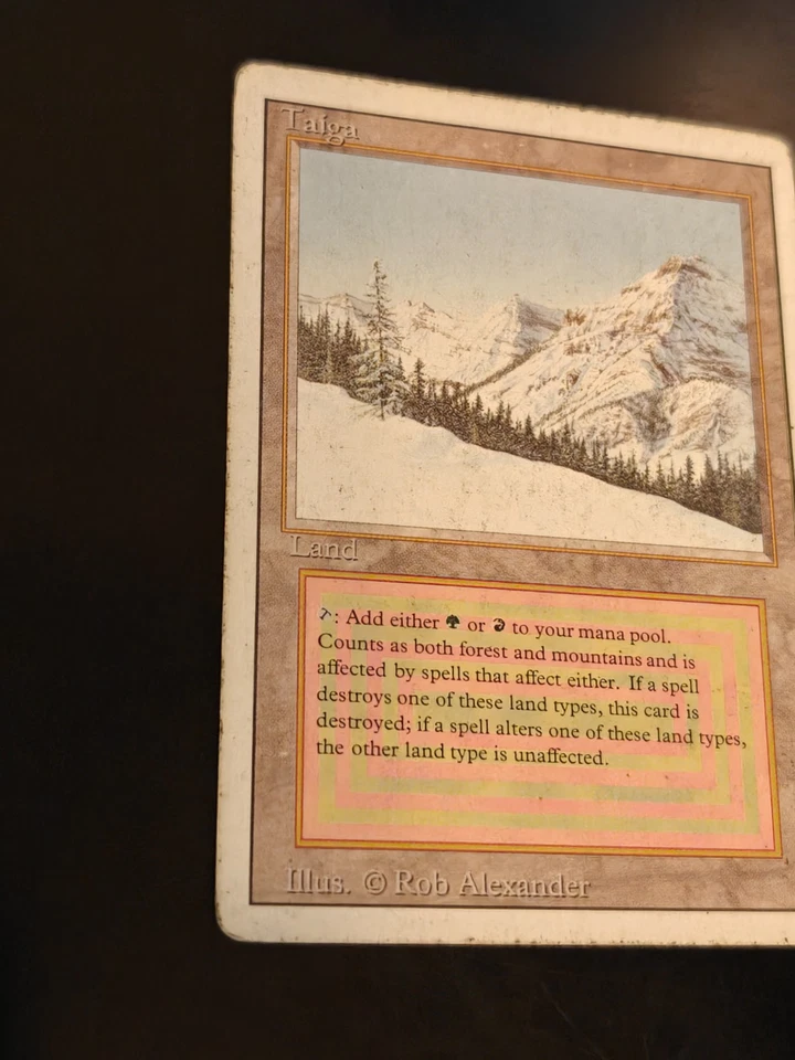 Taiga Revised Edition MTG Magic the Gathering - Image 2 of 4