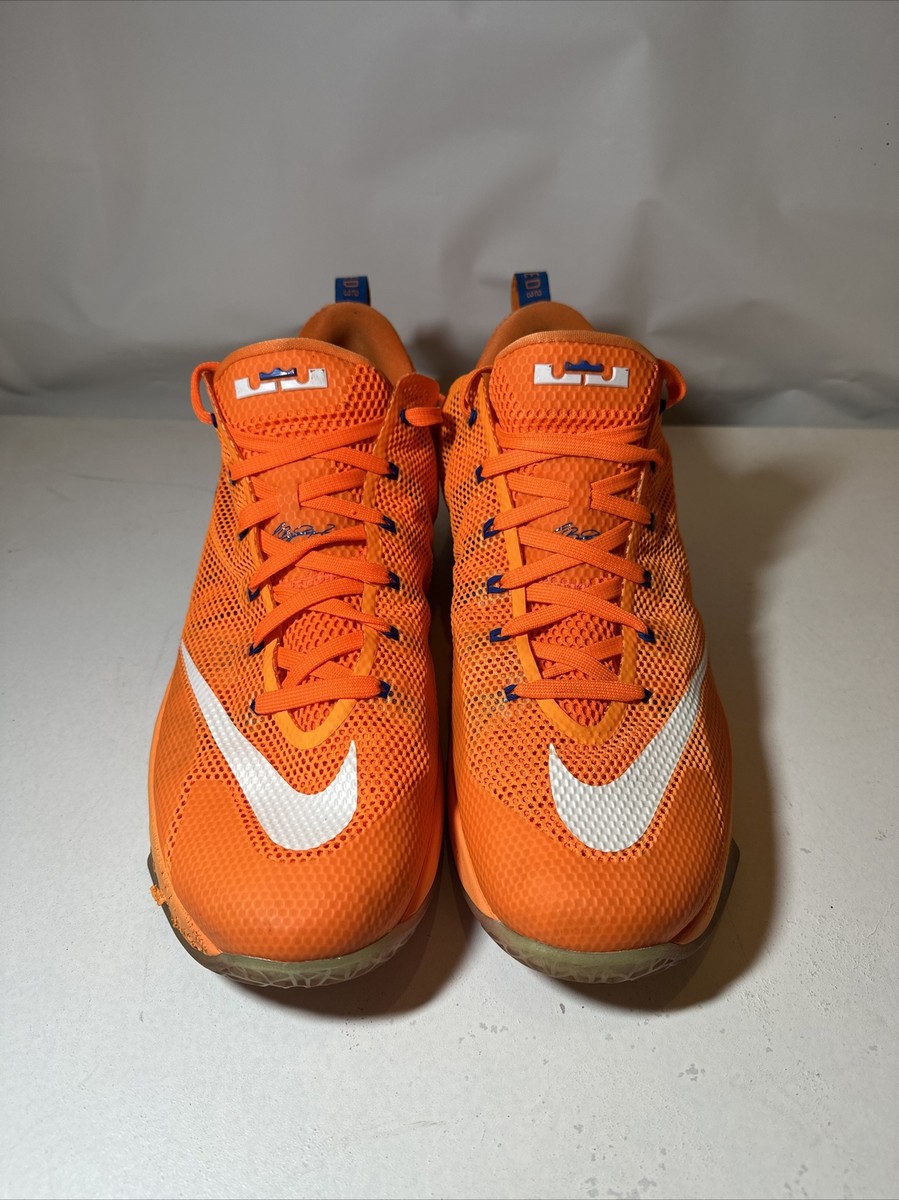 Nike Lebron XII 12 Low Cavs Classic Basketball Shoes (724557-838