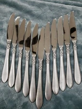 ONEIDA Simba Jacqueline 18/10 Stainless 11 Knives 