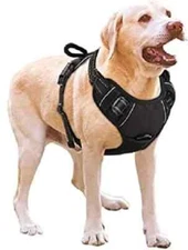 No Pull Dog Harness Breathable Pet Vest Black Size XL
