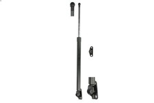 Verin de hayon / de capot Lexus RX