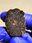 NWA 14922 Mesosiderite Meteorite 3.790g Part Slice Rare Stony-Iron w/ COA — photo 1