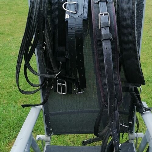 pony driving harness eBay