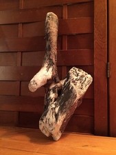 Beautiful 15" DRIFTWOOD Art Piece Terrarium Taxidermy Aquarium Beach Wood DECOR