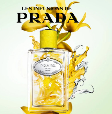 Prada Infusion d'Ylang Eau de Parfum Damen Sonnenduft und üppig