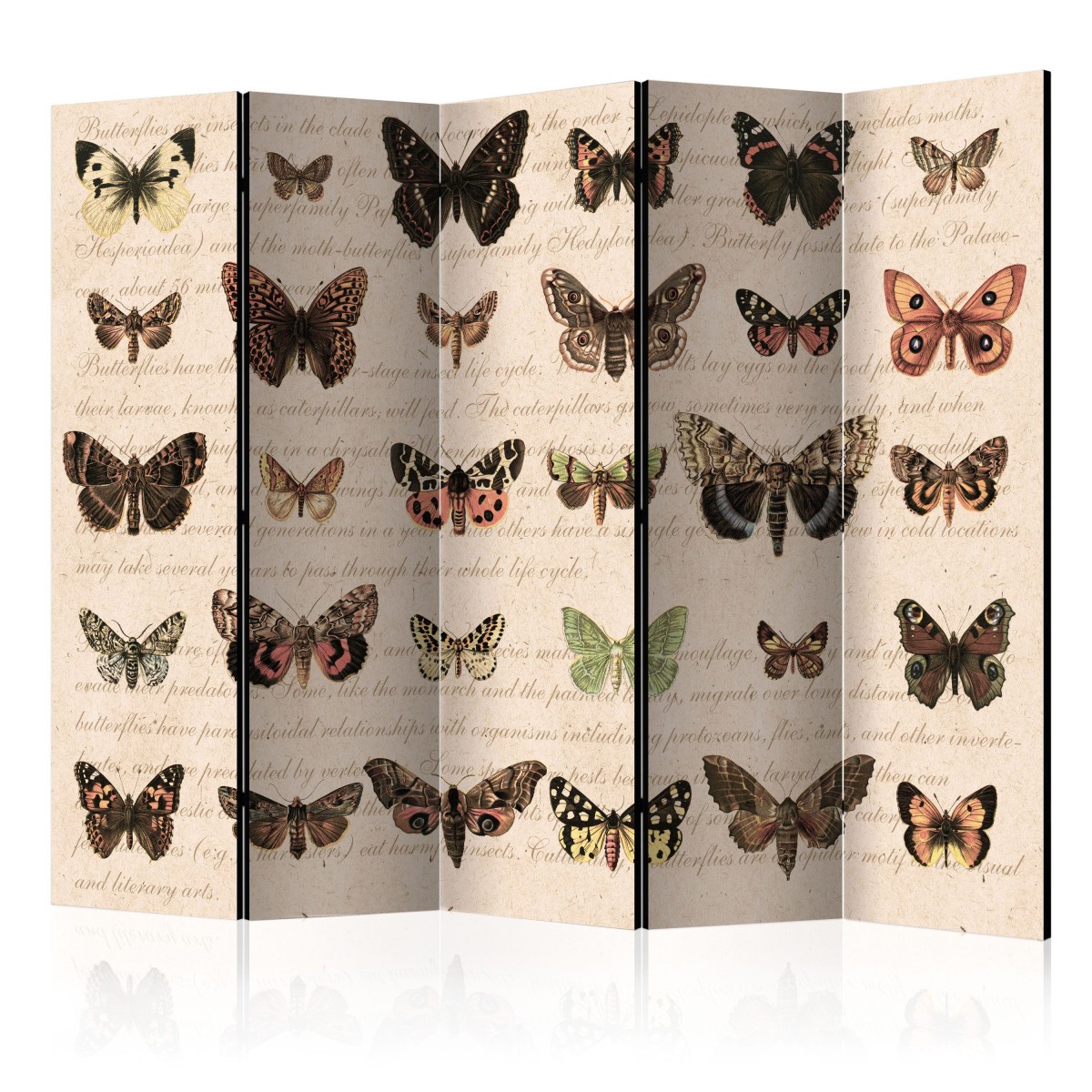 Paravent 5 volets Retro Style Butterflies 172x225cm en bois de sapin imprimé