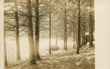 Postcard RPPC C-1910 Vermont Sunset Valley The Pines VT24-4199