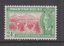 MONTSERRAT, 1951 KGVI 24c. Carmine & Yellow Green, mnh.