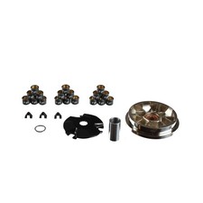 ScooterLibre Variomatik 50ccm 2-Takt (für: Sachs Speedforce 50 L4HGTBBP 07-10 )