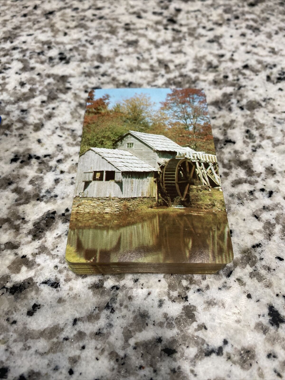 Picture 5 of 5